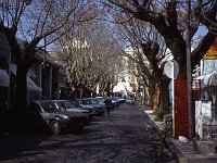 A lovely tree-lined street in Buenos Aires