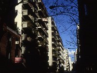 Plant-filled balconies of Buenos Aires