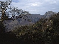 sj79 43b044-ab