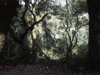 In between Jujuy and Salta, the road climbs and goes through an area of jungle