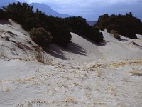 Dunes near Cafayate