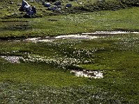 Little stream coming from we have never figured out where.  sj88 37b045