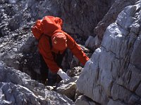 Gloves are handy for grasping rocks.  sj86 31b064
