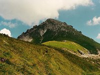 Sud-Schafgafall