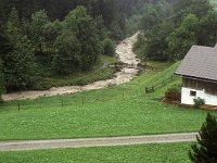 Swollen Alvierbach  sj88 37a043