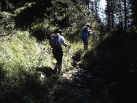 The walk climbs for a while through woods and then high brush.  sj91 46a056