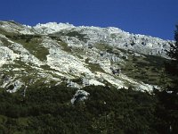 View above the lodge  sj91 46a071