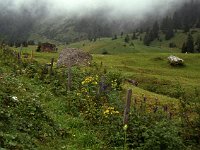 Rolling meadows and flowers line the Zalimweg.  sj88 37a069