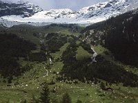 In 1989, the snow line is quite abrupt.  sj89 39b057 b