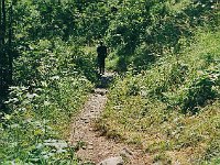 The path through the woods is quite pretty.  br00 sarotla 1