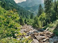 In 2000, spring floods had carried lots of flotsam into the river course and broken up some bridges.  br00 sarotla 2x