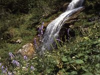 Waterfall  sj83 23a021