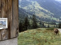 We learned that the sign saying the hut is 60 minutes ahead means that it is more like 90 minutes ahead.  sj83 22b042