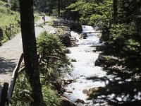Path along the torrent  sj84 25b014