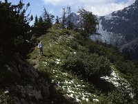 There are several up-and-down segments on the Gulmasteig.  sj89 40a012