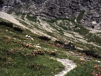 There are often Gemsen (mountain goats) off in those rocks. In this picture, they are too small to distinguish.  sj85 28a048