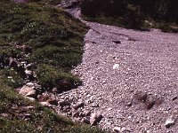 In the summer, water frequently washes down rock slides like this one.  sj93 50a074