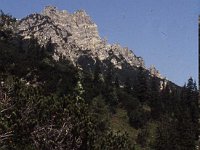 After a fork, the main path becomes the Alte-Statt-Weg, with Schillerkopf towering above.  sj85 27b070