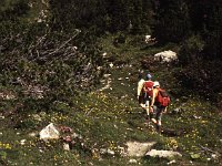 Leaving the main path and starting up towards the Schillerkopf  sj85 27b071