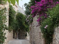 Ever notice how flowers and light-colored tones go well together?  gr16 091916091 j