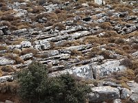 Geologic layers of rock  gr16 092111481 j