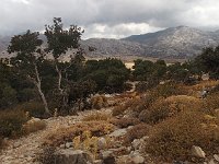 Looking back down the path roward the plateau.  gr16 092113481 s