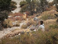 SIv waiting in nature  gr16 092113580 j