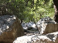 The walk was worth it for the beautiful path -- the correct one.  gr16 092711341 j