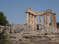 The Doric columns of the temple of Zeus, from the 4th c. BCE.  gr17 091013232 k