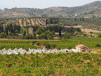 Archaea Nemea