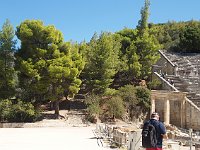 Wonder what kind of pines those are.  gr17 091311410 s