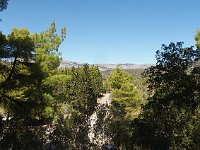 Interesting that there are lots of trees here, but none to speak of on nearby hills.  gr17 091311440 s