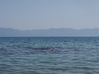 A floating Swede.  gr17 091810521 k