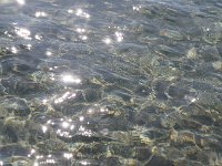 The sun playing on the clear water of the Bay of Messina.  gr17 092209271 k