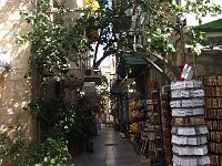 A greener street.  gr17 091210230 s