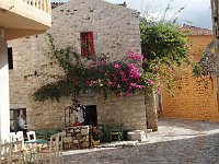 Bougainvillea.  gr18 093010100 s