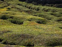 Green lumps around the base of Leirhnjúkur