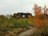 Beautiful autumn birches set off a lava ring.