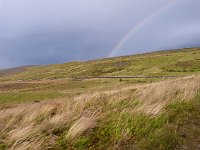 An auspicious rainbow