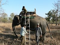 Panna National Park