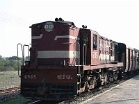 Train Safari