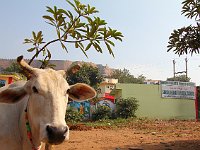 Gwalior