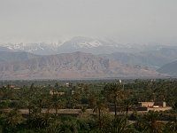 Skoura  View from the guest-house terrace towards the Haut Atlas