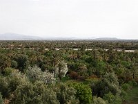 Skoura  Oasis viewed from terrace