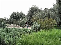 Skoura  American tourist in the oasis