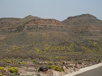 ma10 032115060 j d  The flowers show where the water flows -- when there is any