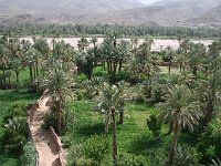 Ksar of Tamnougalt  The oasis, between the ksaur and the river
