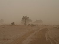The desert  Really sandy -- and windy