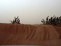 The desert  Out here, you need either a 4-wheel-drive vehicle or a 4-footed one!