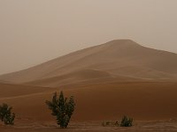 Erg Chigaga  Dunes and sand in the air; we were afraid it would be sandy the next day too, but it was not